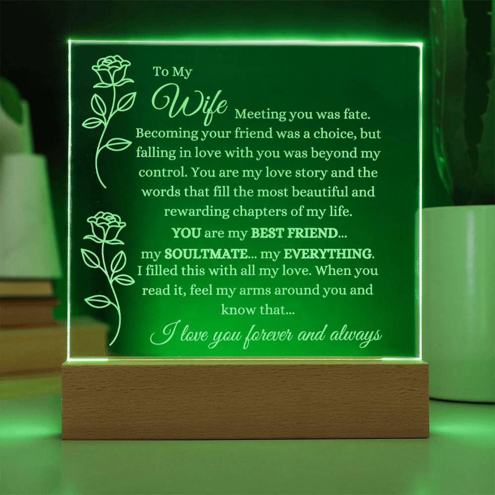 Eternal Embrace Illuminated Acrylic Love Plaque  - Gift for Wife - Valentines Day, Anniversary, Gift, Thinking of Her