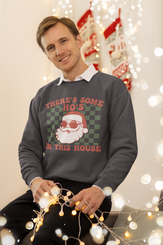 CHRISTMAS - THERE'S SOME HO'S IN THIS HOUSE / UNISEX SOFT HOODIE